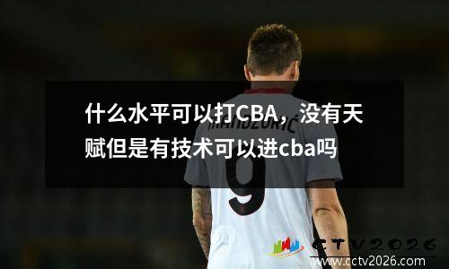 什么水平可以打CBA，没有天赋但是有技术可以进cba吗