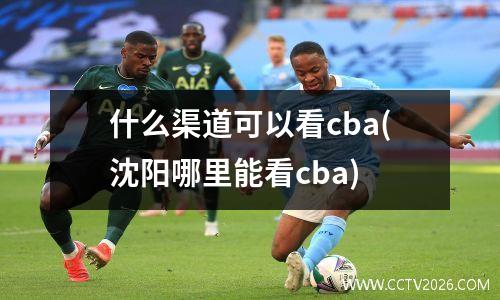 什么渠道可以看cba(沈阳哪里能看cba)