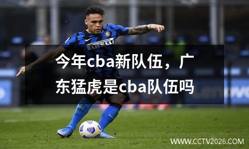 今年cba新队伍，广东猛虎是cba队伍吗