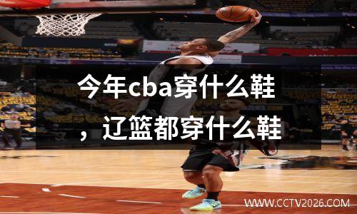 今年cba穿什么鞋，辽篮都穿什么鞋