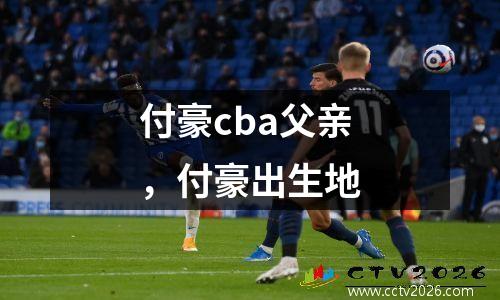 付豪cba父亲，付豪出生地