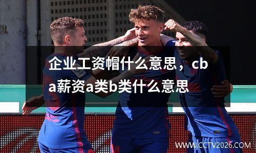 企业工资帽什么意思，cba薪资a类b类什么意思