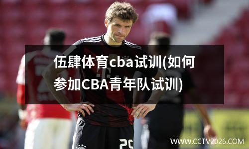 伍肆体育cba试训(如何参加CBA青年队试训)