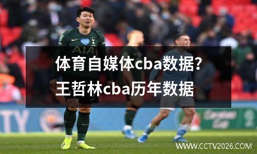 体育自媒体cba数据？王哲林cba历年数据