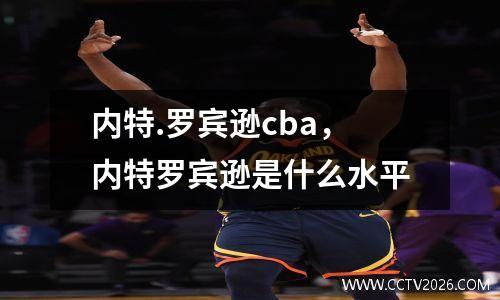 内特.罗宾逊cba，内特罗宾逊是什么水平