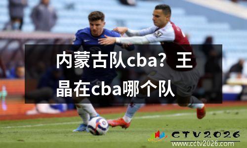 内蒙古队cba？王晶在cba哪个队