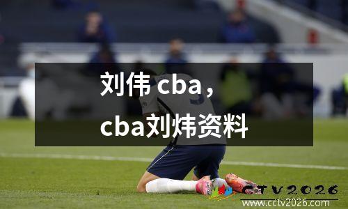 刘伟 cba，cba刘炜资料