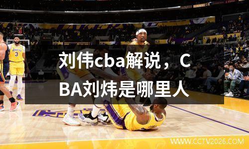 刘伟cba解说，CBA刘炜是哪里人