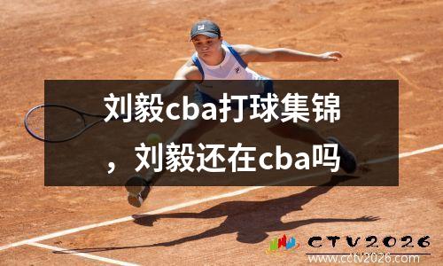 刘毅cba打球集锦，刘毅还在cba吗