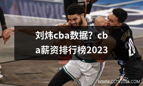 刘炜cba数据？cba薪资排行榜2023