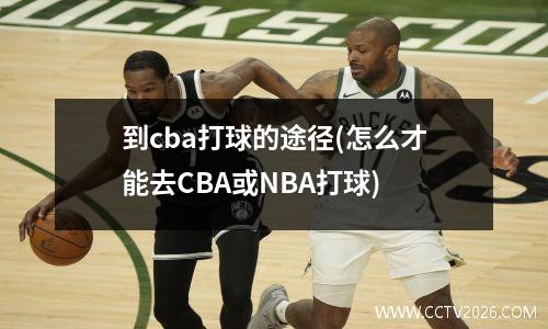 到cba打球的途径(怎么才能去CBA或NBA打球)