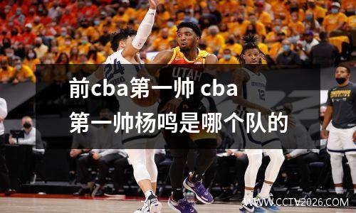 前cba第一帅 cba第一帅杨鸣是哪个队的