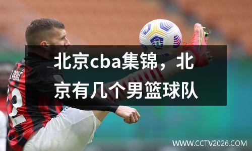 北京cba集锦，北京有几个男篮球队