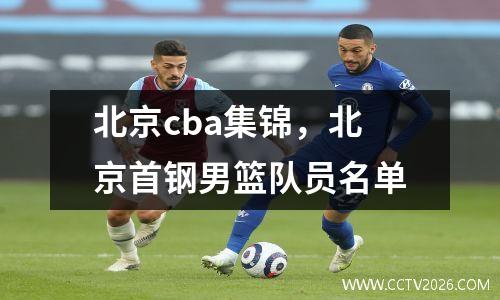 北京cba集锦，北京首钢男篮队员名单