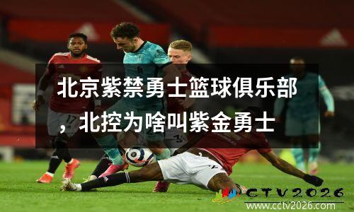 北京紫禁勇士篮球俱乐部，北控为啥叫紫金勇士