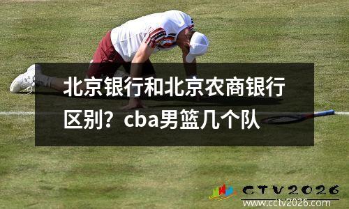 北京银行和北京农商银行区别？cba男篮几个队