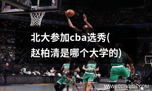 北大参加cba选秀(赵柏清是哪个大学的)