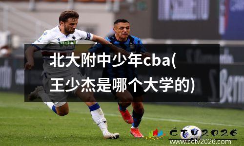 北大附中少年cba(王少杰是哪个大学的)