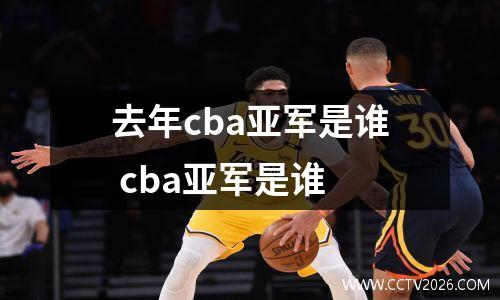 去年cba亚军是谁 cba亚军是谁