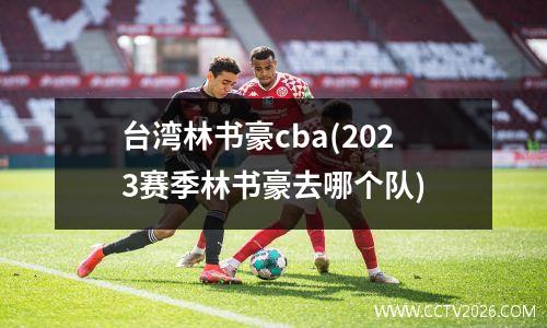 台湾林书豪cba(2023赛季林书豪去哪个队)