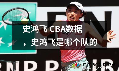 史鸿飞 CBA数据，史鸿飞是哪个队的