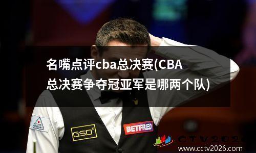 名嘴点评cba总决赛(CBA总决赛争夺冠亚军是哪两个队)