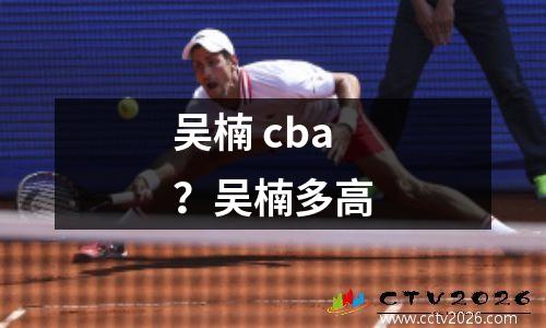吴楠 cba？吴楠多高