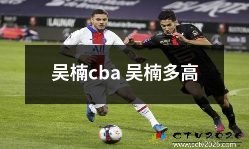 吴楠cba 吴楠多高