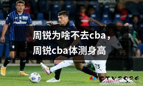 周锐为啥不去cba，周锐cba体测身高