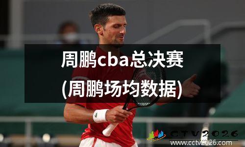 周鹏cba总决赛(周鹏场均数据)