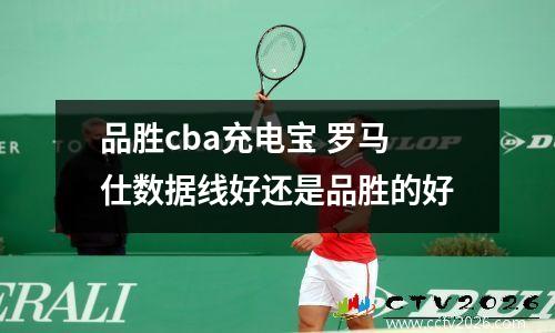品胜cba充电宝 罗马仕数据线好还是品胜的好