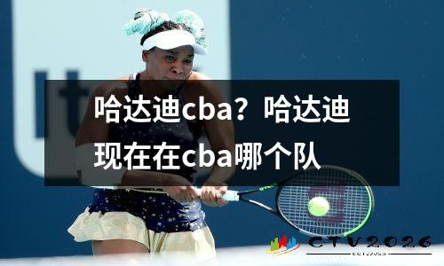 哈达迪cba？哈达迪现在在cba哪个队