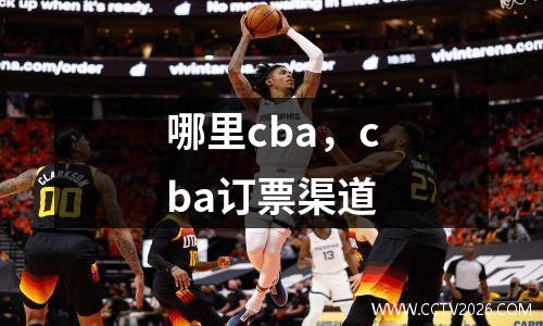 哪里cba，cba订票渠道