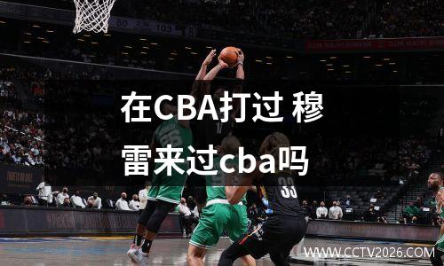 在CBA打过 穆雷来过cba吗