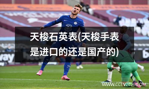 天梭石英表(天梭手表是进口的还是国产的)
