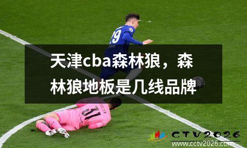 天津cba森林狼，森林狼地板是几线品牌