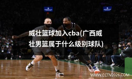 威壮篮球加入cba(广西威壮男篮属于什么级别球队)