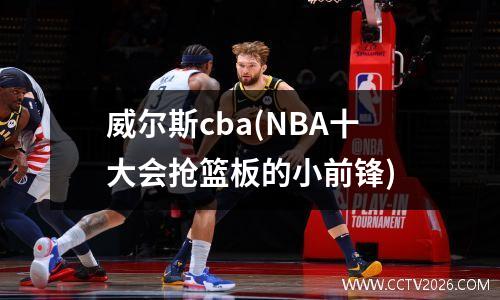 威尔斯cba(NBA十大会抢篮板的小前锋)