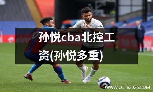 孙悦cba北控工资(孙悦多重)