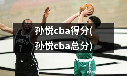 孙悦cba得分(孙悦cba总分)