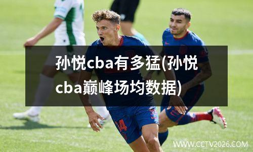 孙悦cba有多猛(孙悦cba巅峰场均数据)