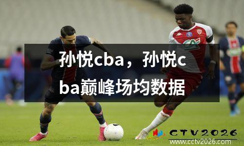 孙悦cba，孙悦cba巅峰场均数据