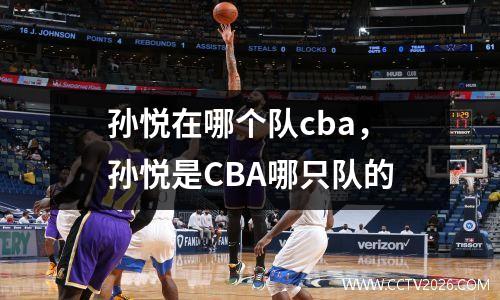 孙悦在哪个队cba，孙悦是CBA哪只队的