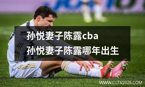 孙悦妻子陈露cba 孙悦妻子陈露哪年出生