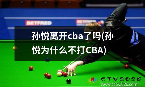 孙悦离开cba了吗(孙悦为什么不打CBA)
