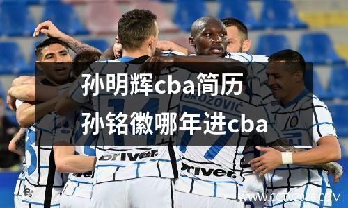 孙明辉cba简历 孙铭徽哪年进cba