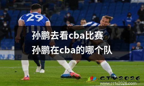 孙鹏去看cba比赛 孙鹏在cba的哪个队
