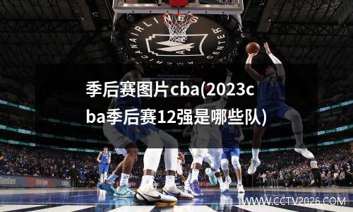 季后赛图片cba(2023cba季后赛12强是哪些队)