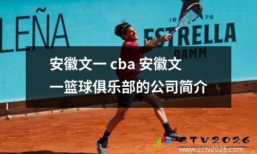 安徽文一 cba 安徽文一篮球俱乐部的公司简介