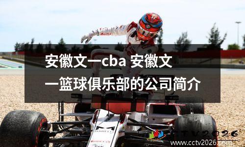安徽文一cba 安徽文一篮球俱乐部的公司简介